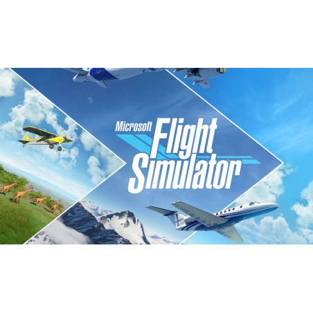 Microsoft Flight Simulator
