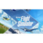 Microsoft Flight Simulator Microsoft Flight Simulator